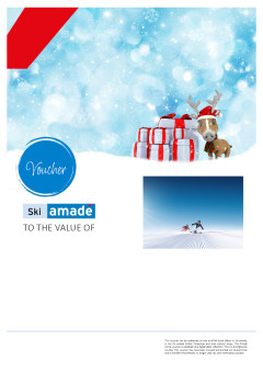 Voucher template 8